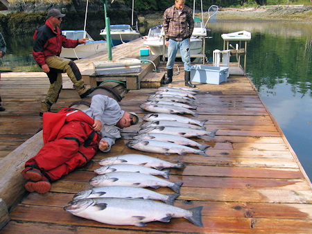 Catch of BC salmon at Coastal Springs Float Lodge